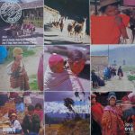 Ayllu - Authentic South America Vol. 1 - The Andes (LP)