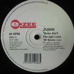 ZUSHii - There Ain't Enough Love ('94 Remix) / Surprise Surprise (12")