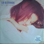 Haywoode - He's Got Magic (12", Single)