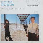 Cock Robin - The Biggest Fool Of All (12", Maxi)