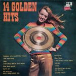 Unknown Artist - 14 Golden Hits (LP, Album)