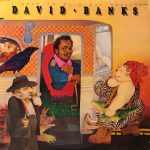 David Banks (4) - I Used To Be A Bus Driver (LP)