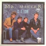 Mr. Mister - Is It Love (12", Maxi)