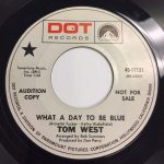 Tom West (4) - What A Day To Be Blue / Rainy Day (7", Promo)