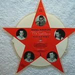 Animal Nightlife - Mr Solitaire (Panther Remix) (7", Shape, Pic)