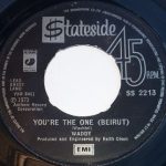 Waddy Wachtel - You're The One (Beirut) (7", Single)