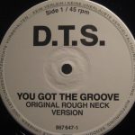 DTS (2) - You Got The Groove (12")