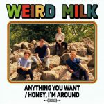 Weird Milk - Anything You Want / Honey, I'm Around (7")