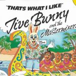 Jive Bunny And The Mastermixers - That's What I Like (CD, Single)