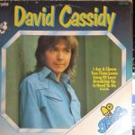David Cassidy - Bell Greats David Cassidy  (LP, Album, Comp)