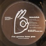 Niagra (3) - I'm Gonna Love You (12")