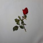 Berliner Philharmoniker, Herbert von Karajan - Das Weihnachtskonzert (LP, Comp, Spe)