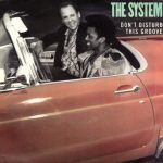 The System - Don't Disturb This Groove (12")