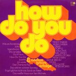 Various - How Do You Do & Andere Grosse Erfolge (LP, Comp)
