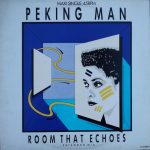Peking Man - Room That Echoes (Extended Mix) (12", Maxi)