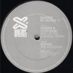 Various - Diverse By Design 1.0 (2x12")