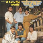 BZN - If I Say The Words (7", Single)