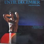 Until December - Secrets (I Won't Tell) (12", Maxi)