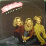 Ms. Adventures - Undeniable (12", Single)