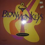 The Blow Monkeys Featuring Quan-T And Berzerk (11) - La Passionara (12", Maxi)