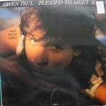 Owen Paul - Pleased To Meet You (12", Maxi)