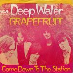 Grapefruit - Deep Water (7", Single)