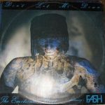 The Emotional Beat Featuring Fash - Don't Let Me Down (12")