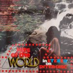 Unknown Artist - Hits Of The World (LP)
