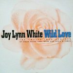 Joy Lynn White - Wild Love (The Twelve Inch Remixes) (12", Maxi, Promo)