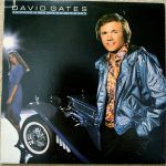 David Gates - Falling In Love Again (LP, Album)