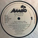 Soulstream - All I Wanna Do (12", Promo)