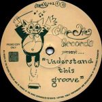 Frankë Pharoah - Understand This Groove (12", Promo)