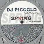 DJ Piccolo - Spring...Let Me See! (12")