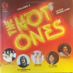 Various - The Hot Ones - Volume 2 (LP, Comp)