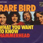 Rare Bird - What You Want To Know (7", Single, Mono)
