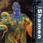 The Shamen - Knature Of A Girl (12")