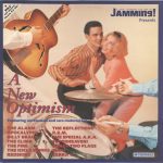 Various - A New Optimism (LP, Comp)