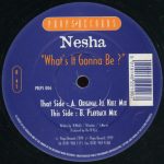 Nesha - What's It Gonna Be? (12")