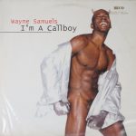 Wayne Samuels - I'm A Callboy (12", Maxi)