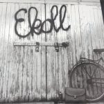 Wolfgang Wittmann - Ekoll (LP)