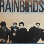 Rainbirds - Rainbirds (LP, Album)