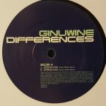 Ginuwine - Differences (12", Promo)