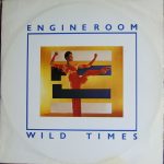 The Engine Room - Wild Times (12", Single)