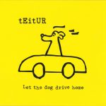 Teitur - Let The Dog Drive Home (CD, Album)