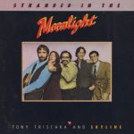 Tony Trischka And Skyline (17) - Stranded In The Moonlight (LP)