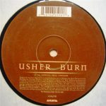 Usher - Burn (12", Promo)