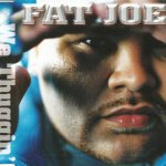 Fat Joe - We Thuggin' (CD, Maxi)