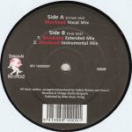 Andres Romero Meets Terra-C - Blackout (12")