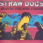 Straw Dogs - Man In The High Tower (7")