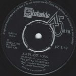 The Royal Guardsmen - Airplane Song (7", Single)